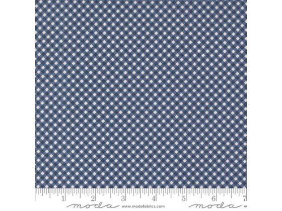 Raspberry summer blue gingham