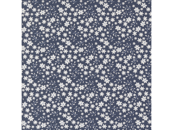 Raspberry summer blue floral