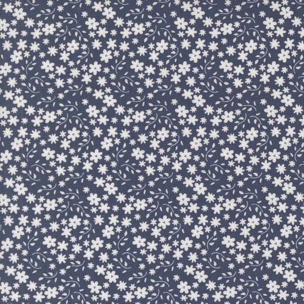 Raspberry summer blue floral