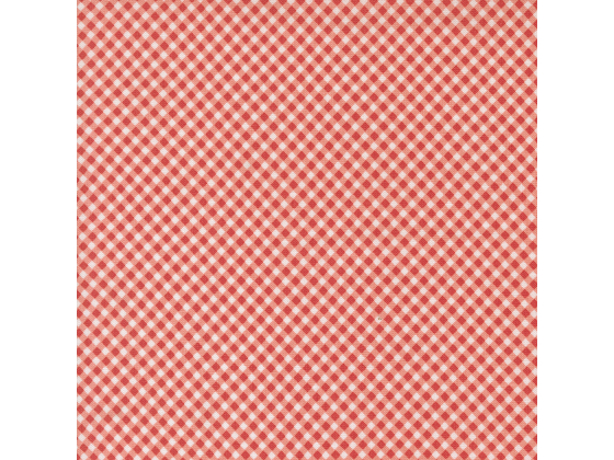 Raspberry summer pink gingham