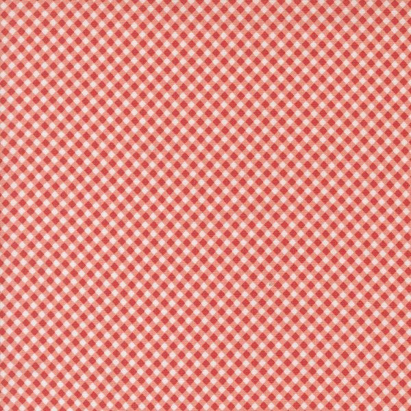 Raspberry summer pink gingham