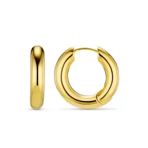Polished Chubby Hoop