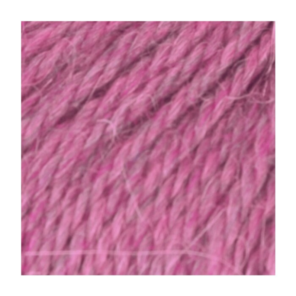 Alpakka Forte - Image 4