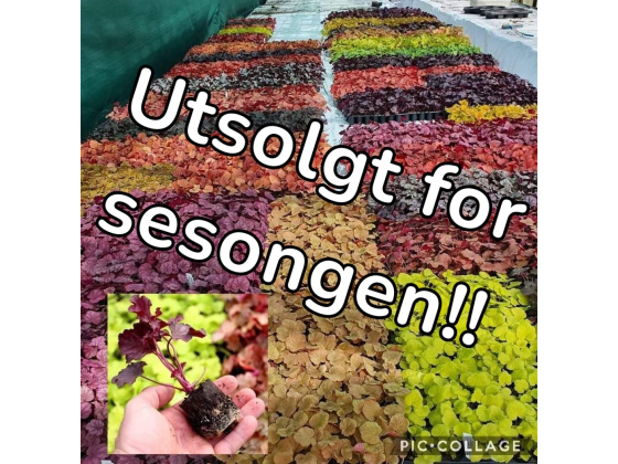 Slutt med plugger for sesongen