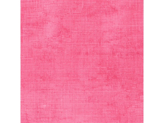 Chalk and charcoal camellia pink