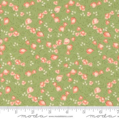 Abloom Cucumber