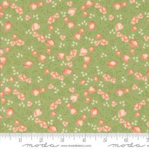 Abloom Cucumber