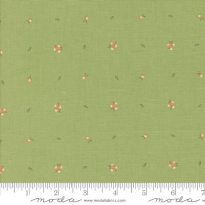 Abloom Cucumber