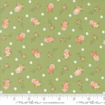 Abloom Cucumber
