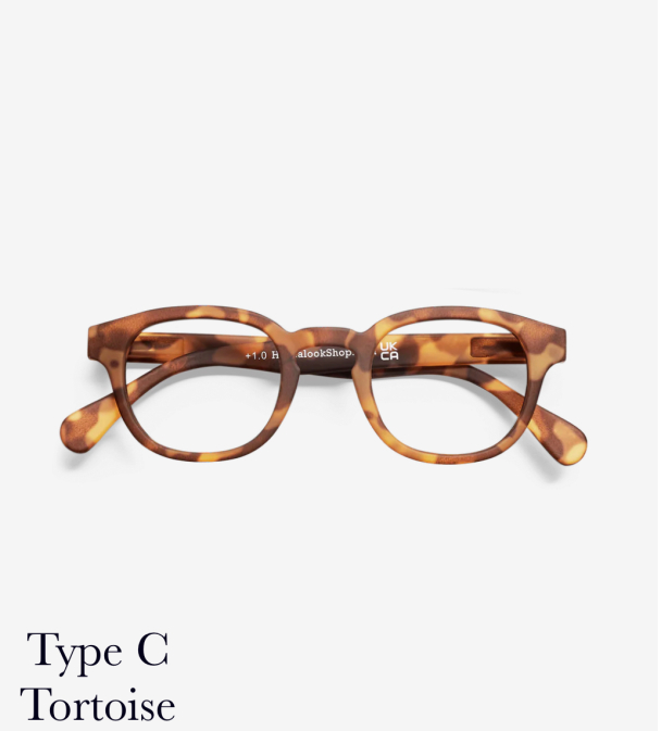 Type C Tortoise  - Image 1