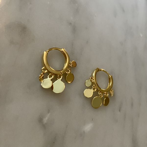 Ørering Mynter