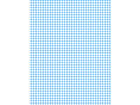 Essentials baby blue gingham
