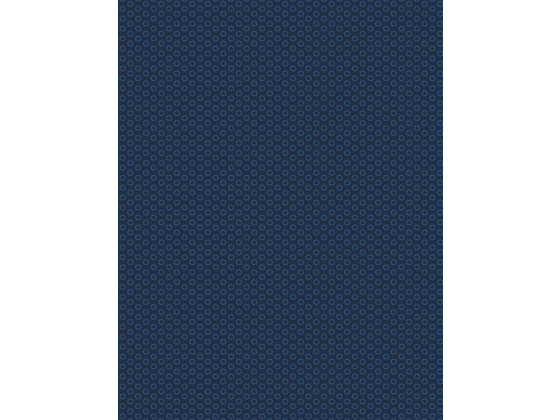 Essentials navy circles