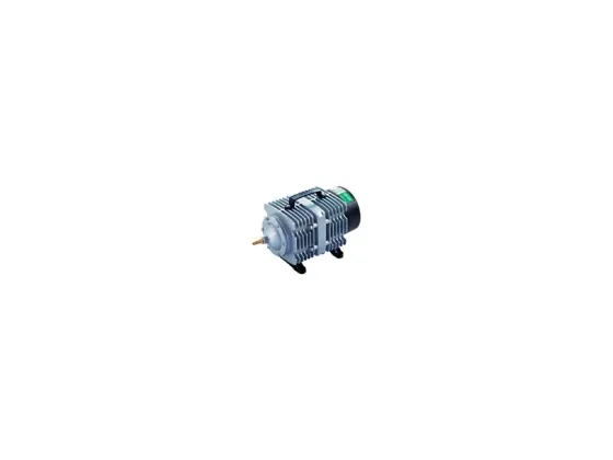 Luftpumpe Elektromagnetisk