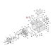 Transmission fill plug. round head