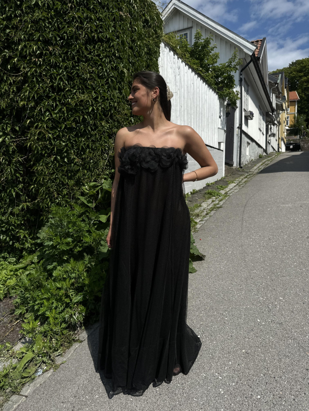Tulle Decorated Dress - Black  - Image 3
