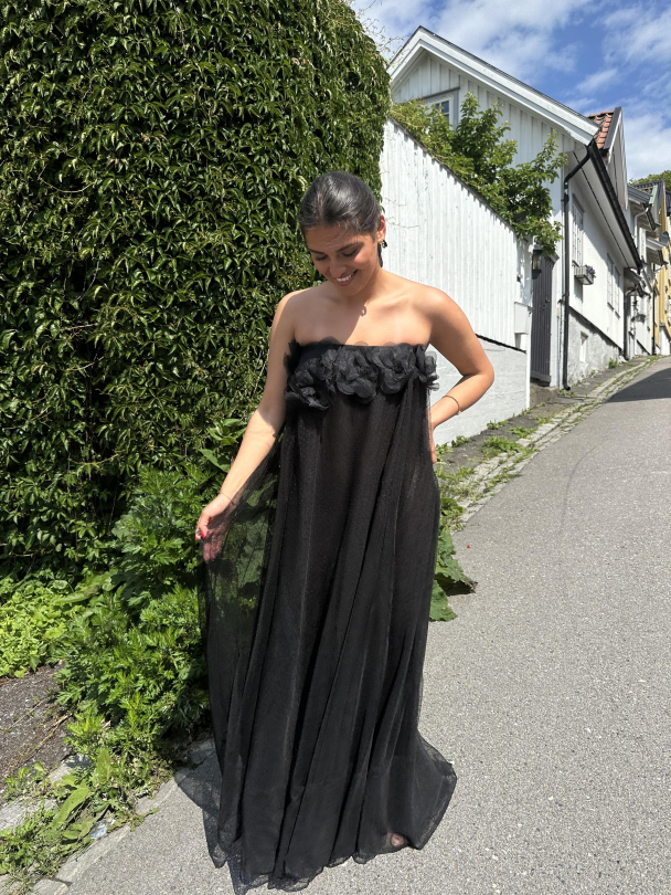 Tulle Decorated Dress - Black  - Image 4
