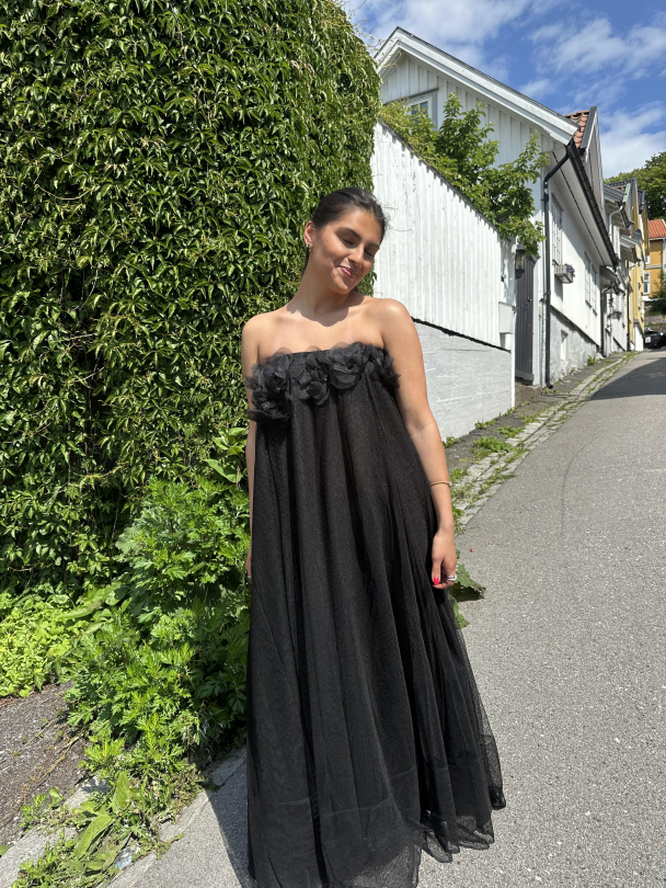 Tulle Decorated Dress - Black  - Image 6