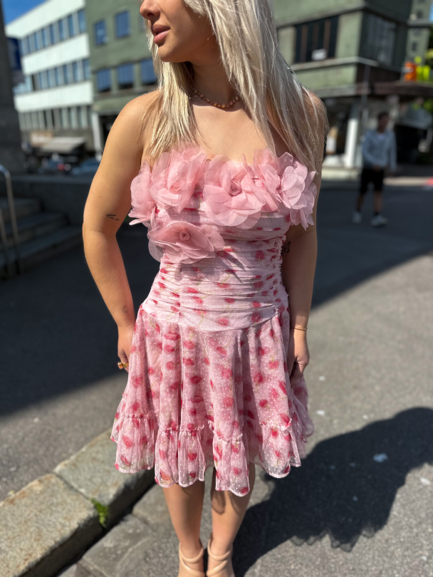 Tulle Mini Dress - Serenade  - Image 1