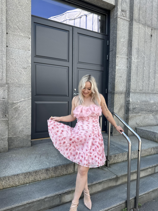 Tulle Mini Dress - Serenade  - Image 5