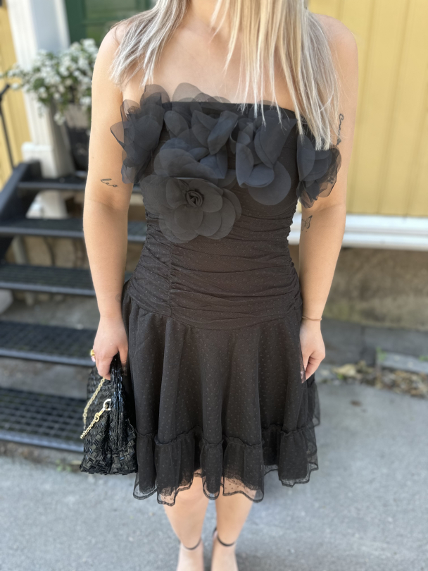 Tulle Mini Dress - Black  - Image 1