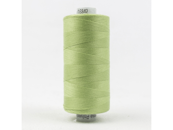DS842
