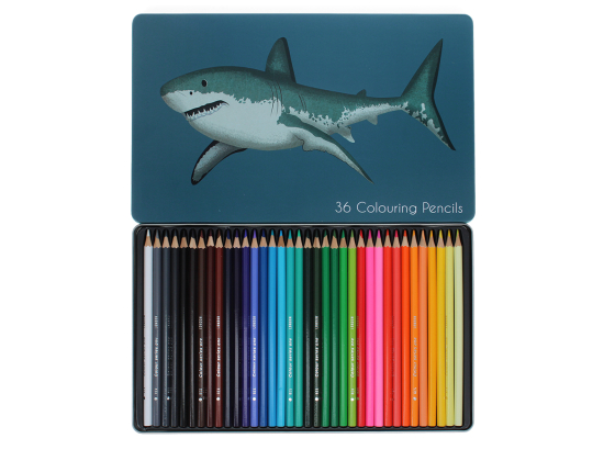 Fargeblyanter 36 stk - Sharks