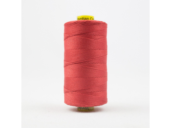 Spagetti Coral  SP35
