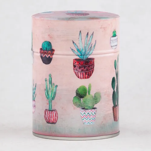 Washi teboks Cancun