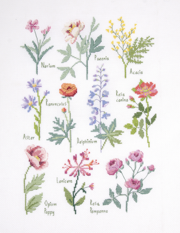 DMC DESIGNER COLLECTION BRODERI-KIT BOTANICAL SAMPLER - Image 3