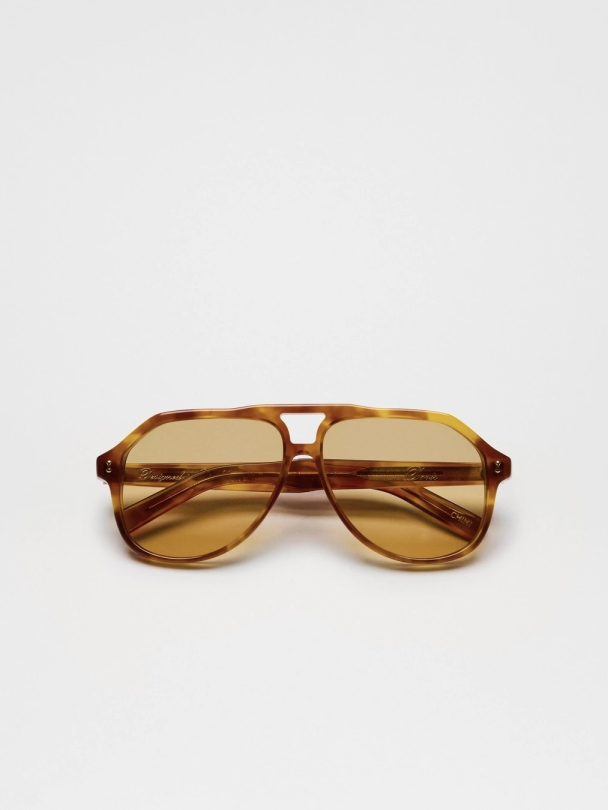 Doris Honey Tortoise - Image 2