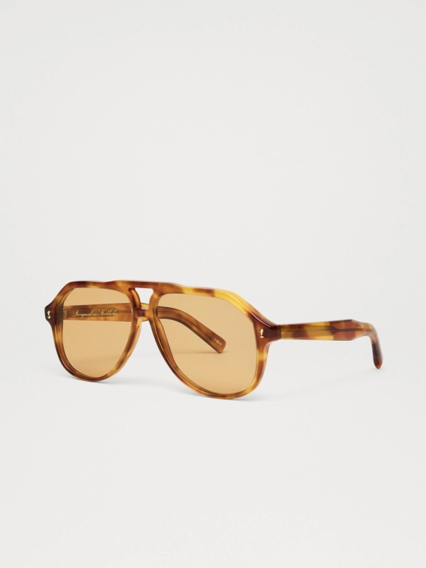 Doris Honey Tortoise - Image 4