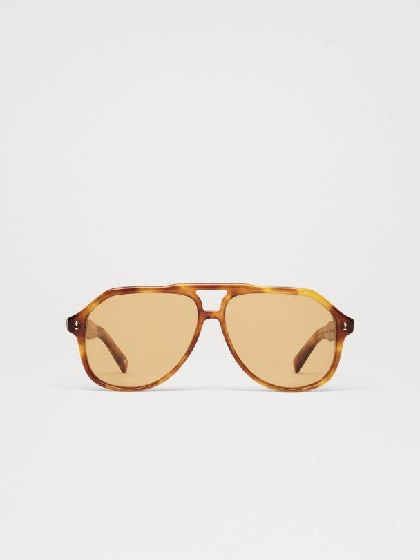 Doris Honey Tortoise - Image 5