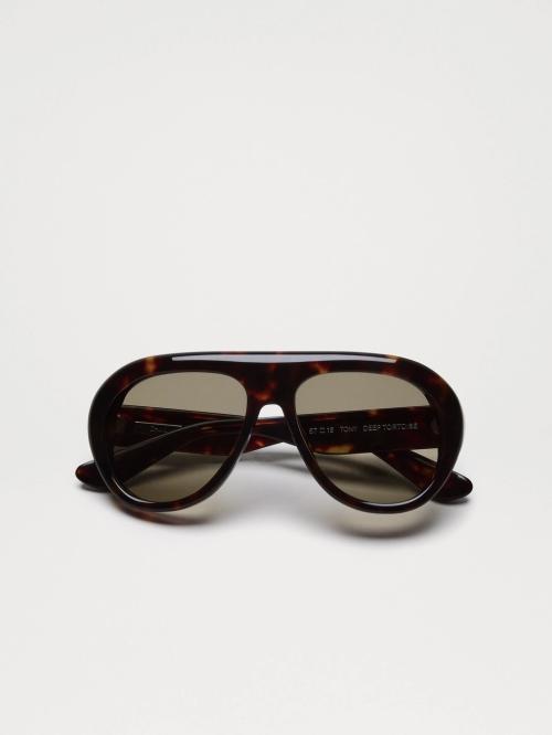 Tony Tortoise/Green