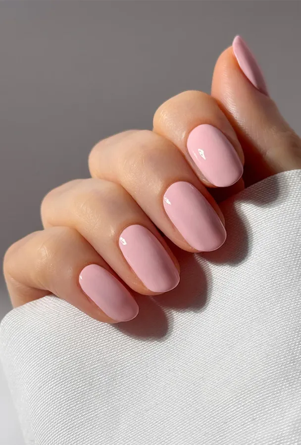 Kyoto Bloom - Image 3