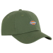Dickies Caps