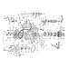 Retaining ring, transmission bearing