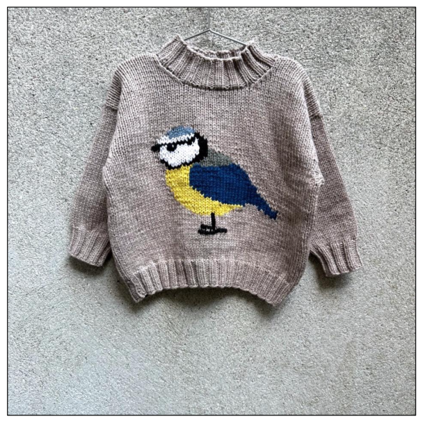Fuglesweater