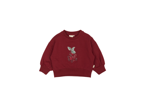 Dina Sweat shirt, Biking Red - Petit Piao