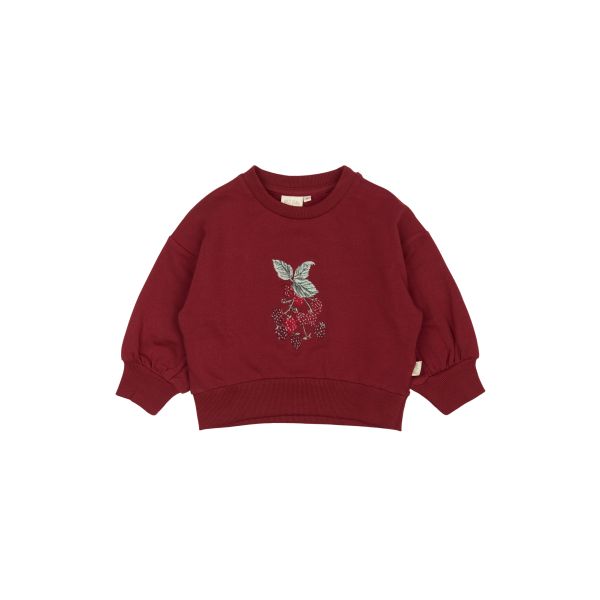 Dina Sweat shirt, Biking Red - Petit Piao