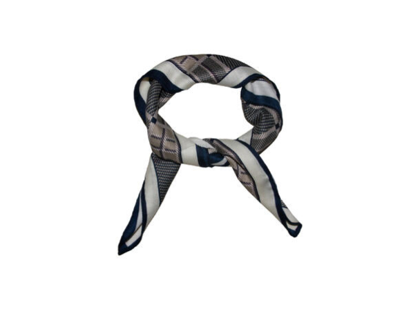 Skjerf Rutet 793878 Blå - Image 1