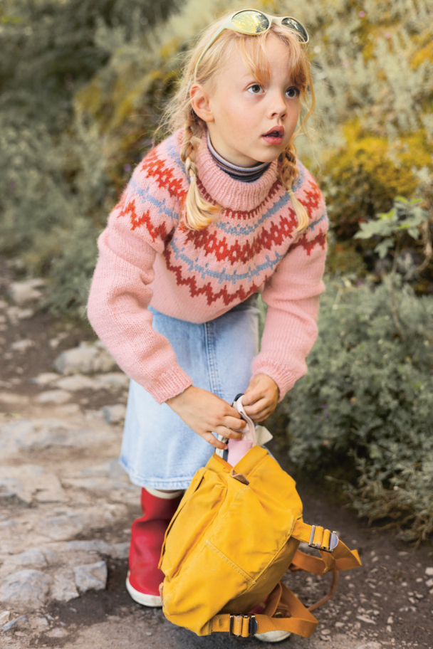 2411 - 2  - Polar-Light Barnegenser - Image 2