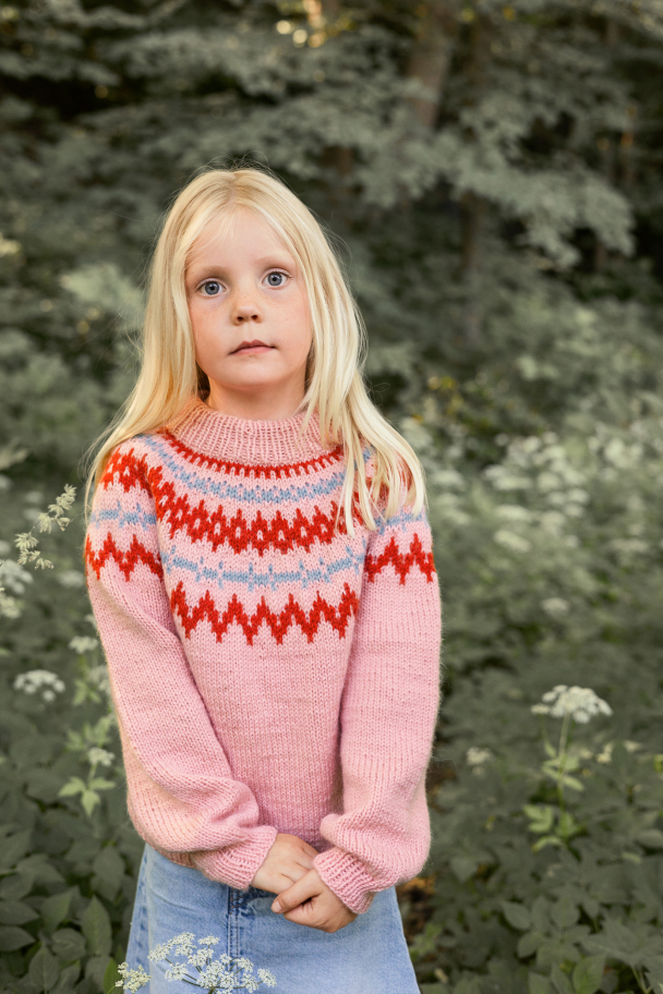 2411 - 2  - Polar-Light Barnegenser - Image 3