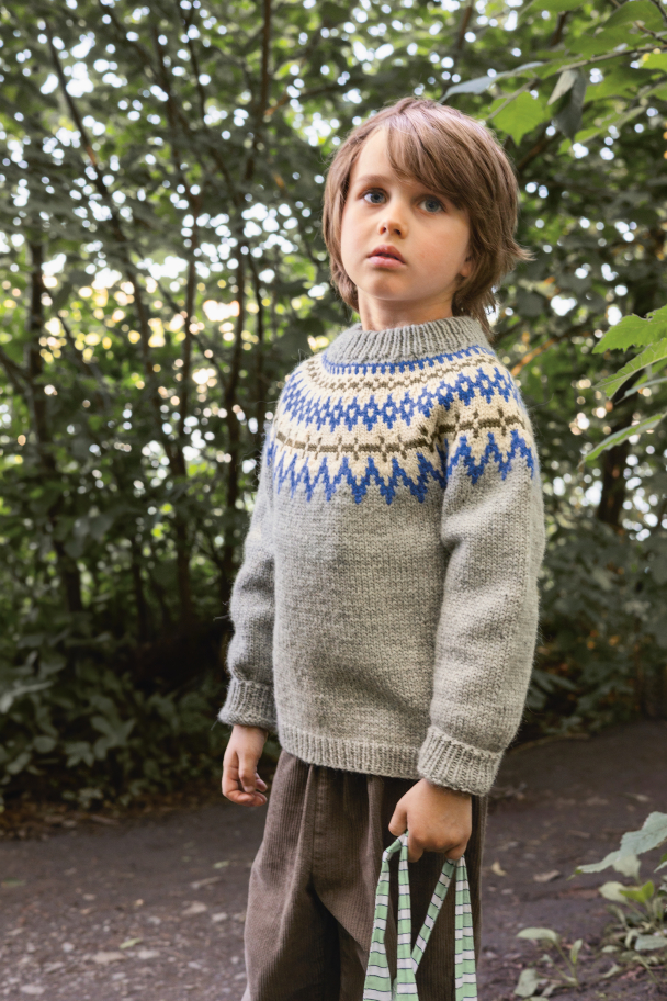 2411 - 2  - Polar-Light Barnegenser - Image 1