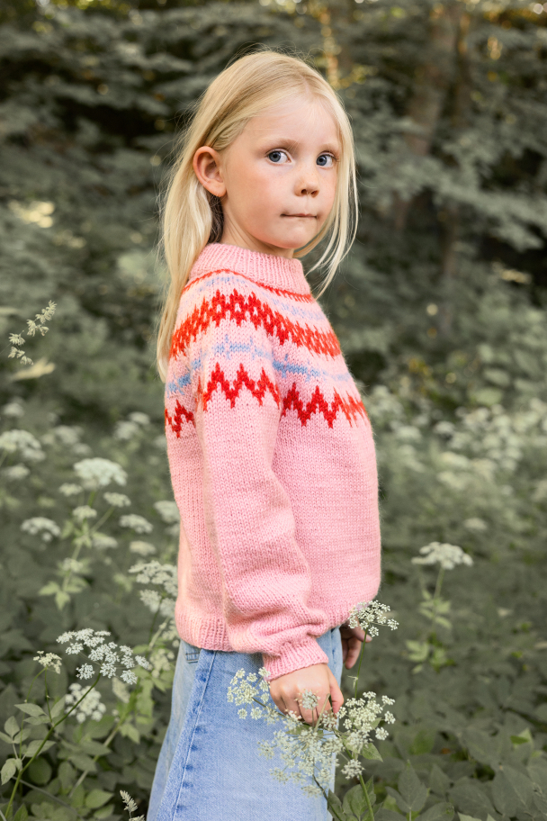 2411 - 2  - Polar-Light Barnegenser - Image 4