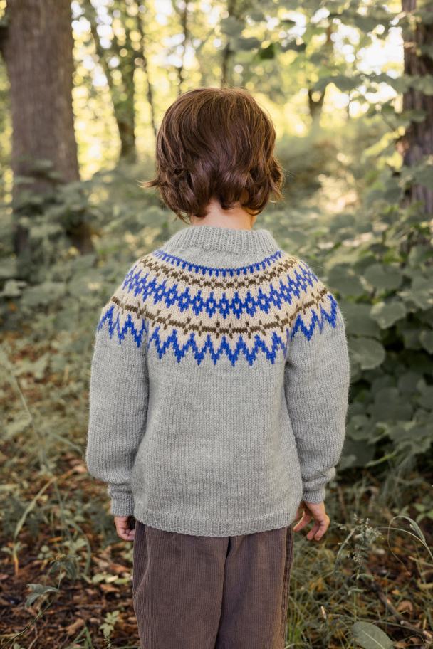 2411 - 2  - Polar-Light Barnegenser - Image 5