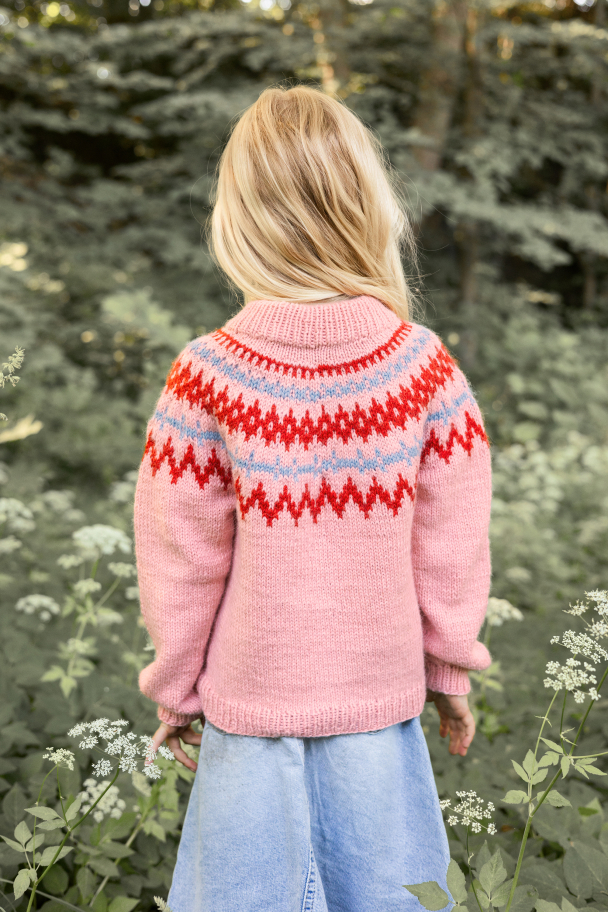 2411 - 2  - Polar-Light Barnegenser - Image 8