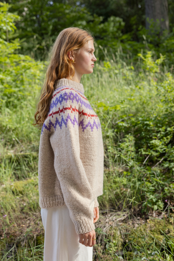 2410 - 7 - Polar-Light Damegenser - Image 3