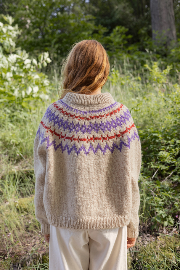 2410 - 7 - Polar-Light Damegenser - Image 4