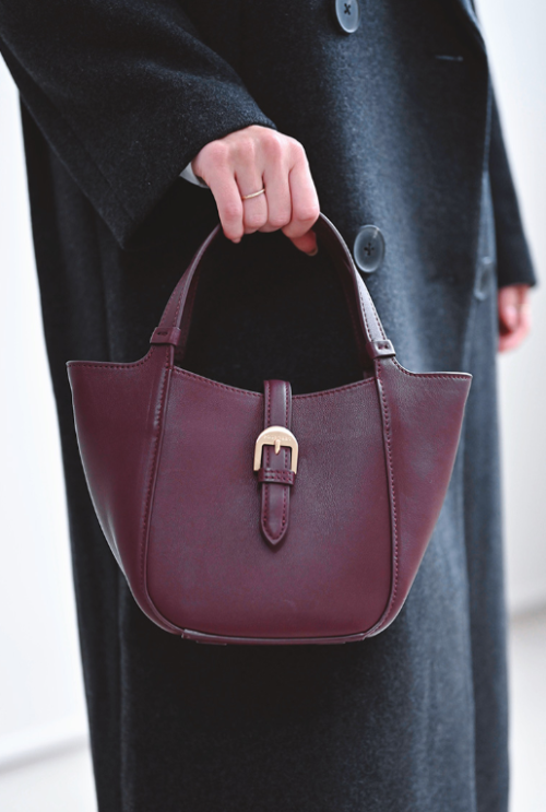 Lenvolee Cowhide convertible nano size shopper